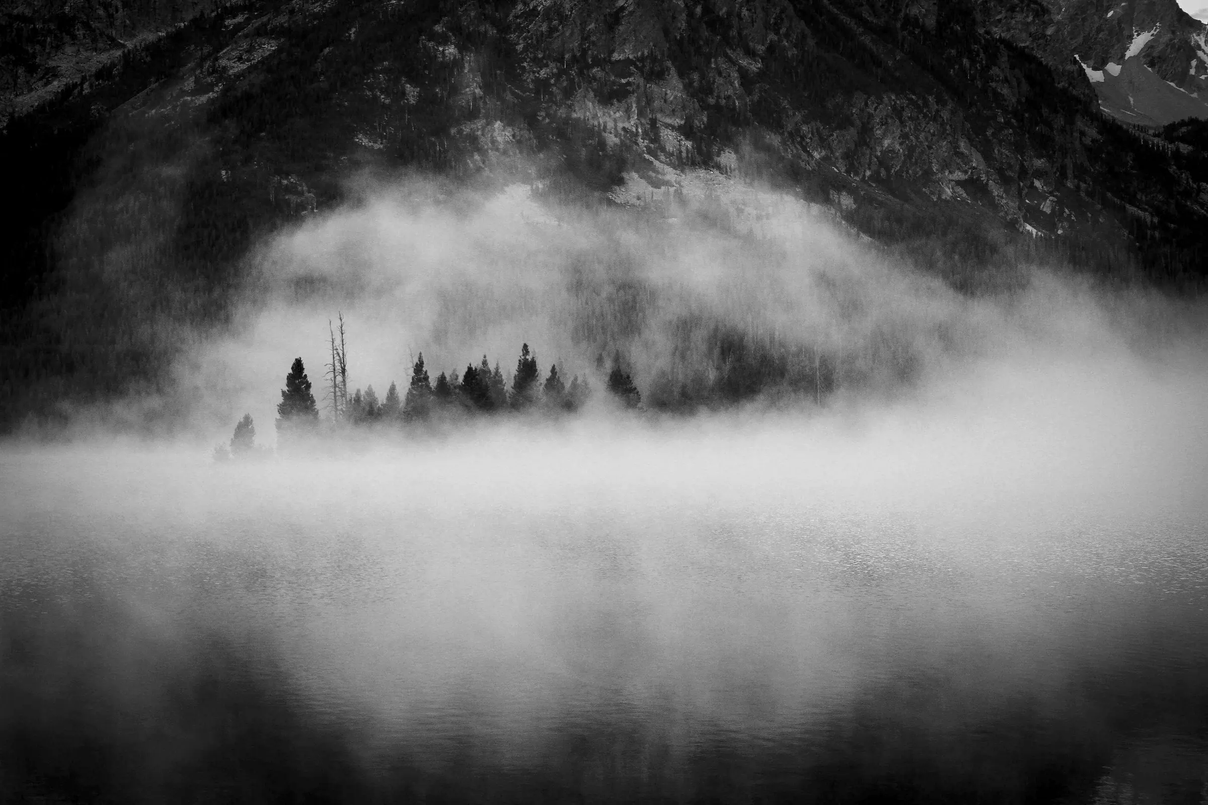 Fog lying between forested hills
