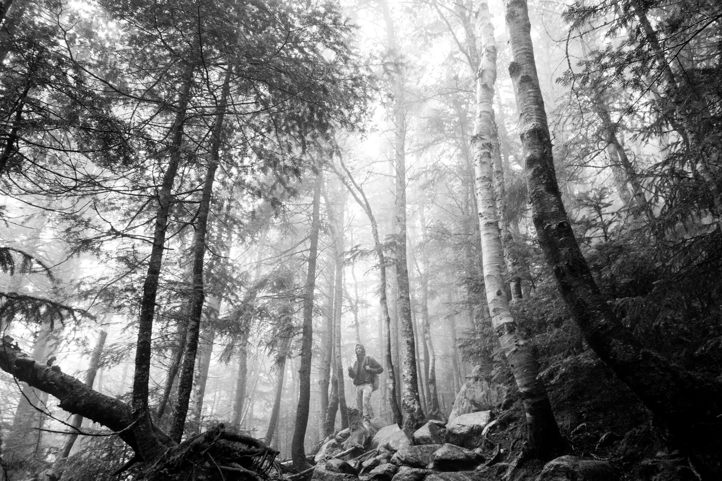 Low cloud over a dark hillside
