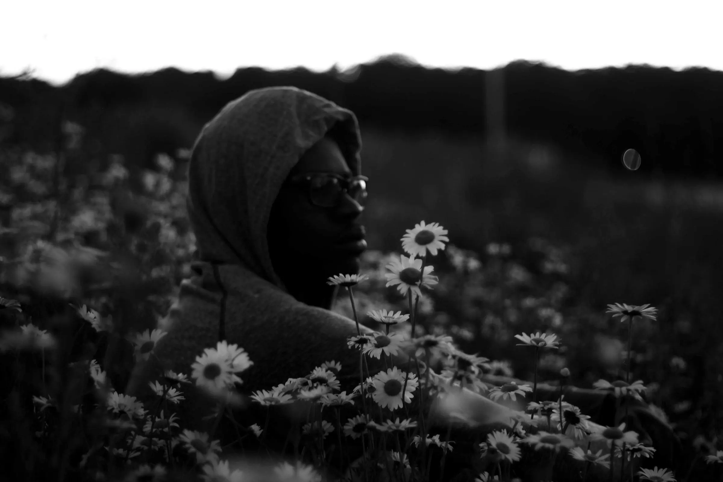 A hooded woman among daisies