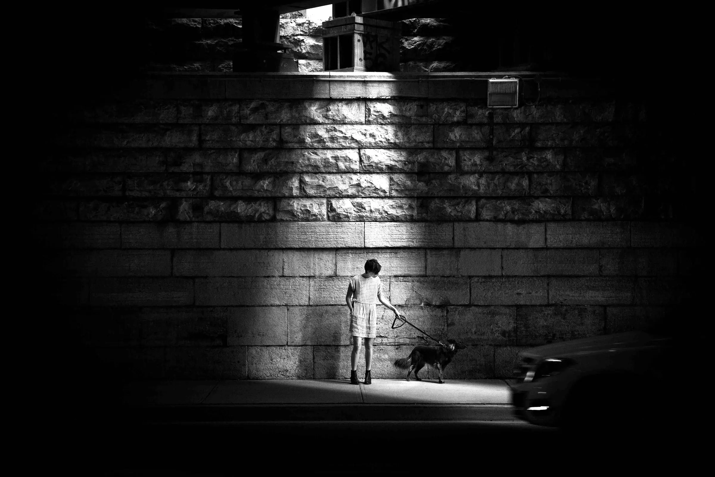 A child and a dog in a shaft of light by a stone wall